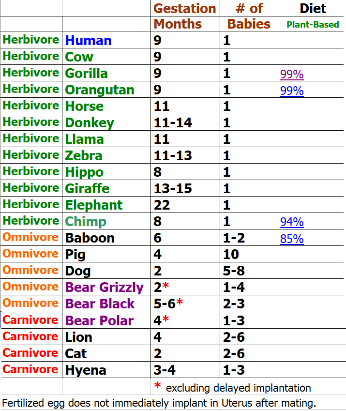 Herbivore Omnivore Gestation & # of babies