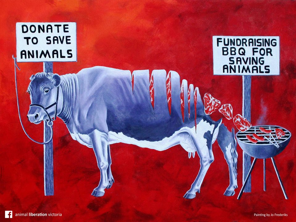 Feeding sheltered animals torture
